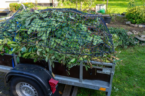 Shed Removal in Texarkana, AR